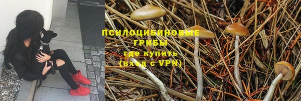 герыч Бугульма