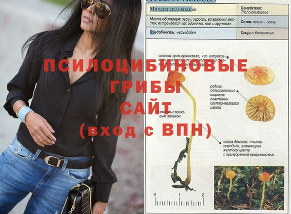 герыч Бугульма